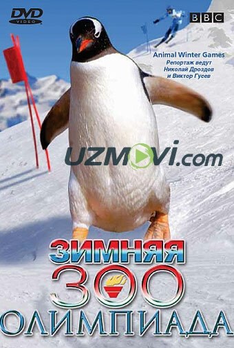 Hayvonlarning qishki olimpiadasi uzbek o'zbek tilida